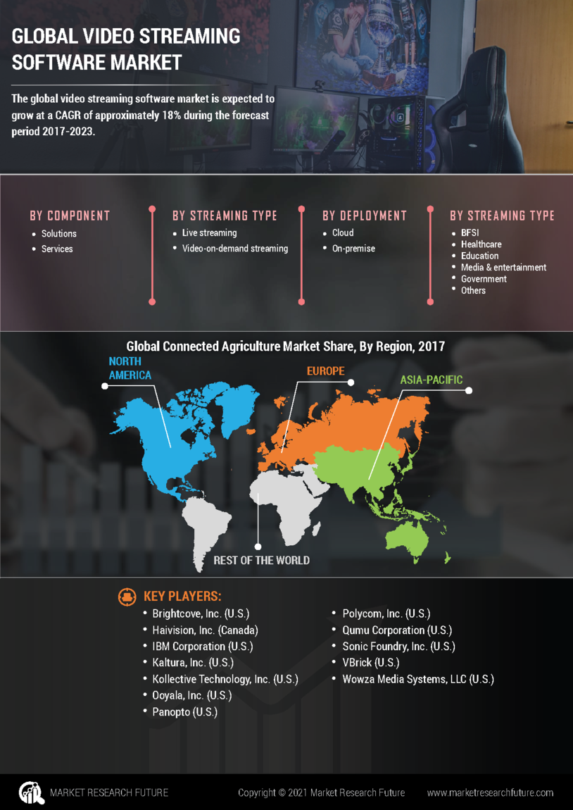 Infographics Video Streaming Software Market Report Forecast To