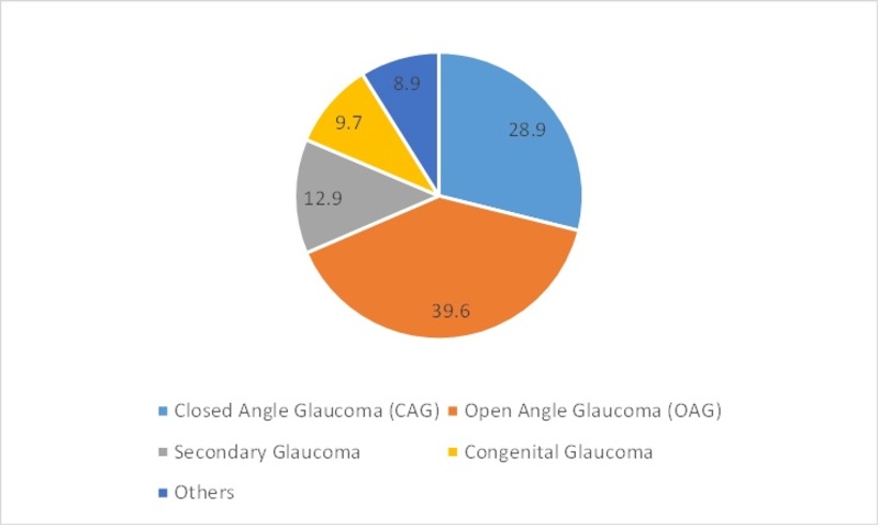 Asia-Pacific Glaucoma Treatment Market Share, by End User