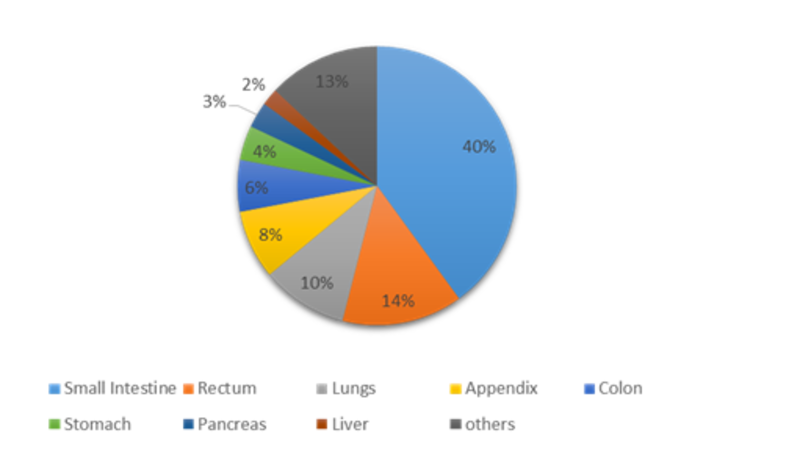 Carcinoid Syndrome Management Market