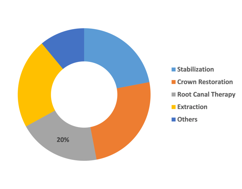 Crack Tooth Syndrome Market Share