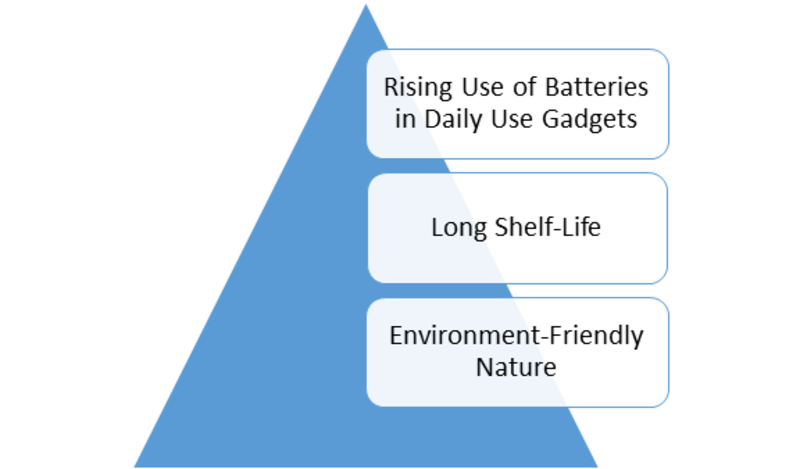 Disposable Batteries Market Share