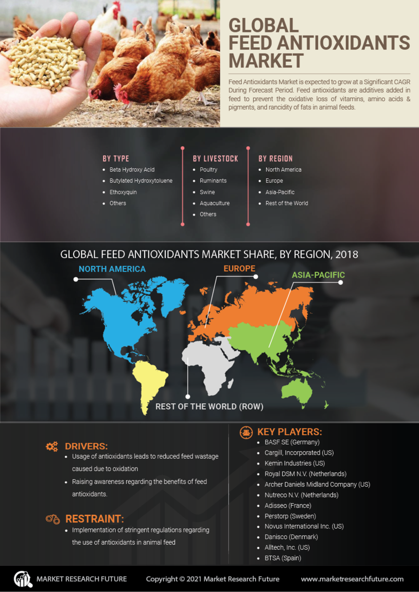 Infographics Feed Antioxidants Market Size, Share, Global Analysis