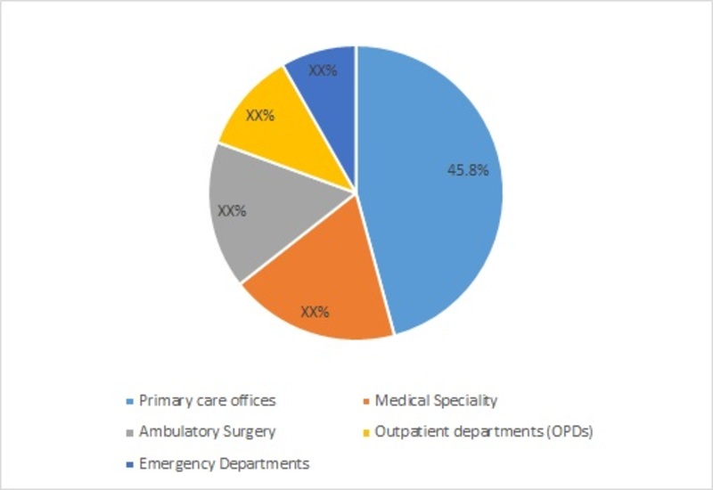 Global Ambulatory Services Market Share, By Service Type 2016