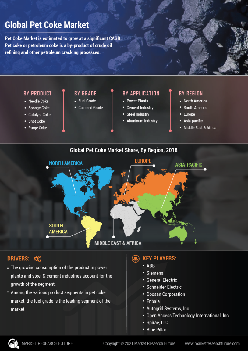 Infographics Pet Coke Market Size, Share, Growth Report, 2030