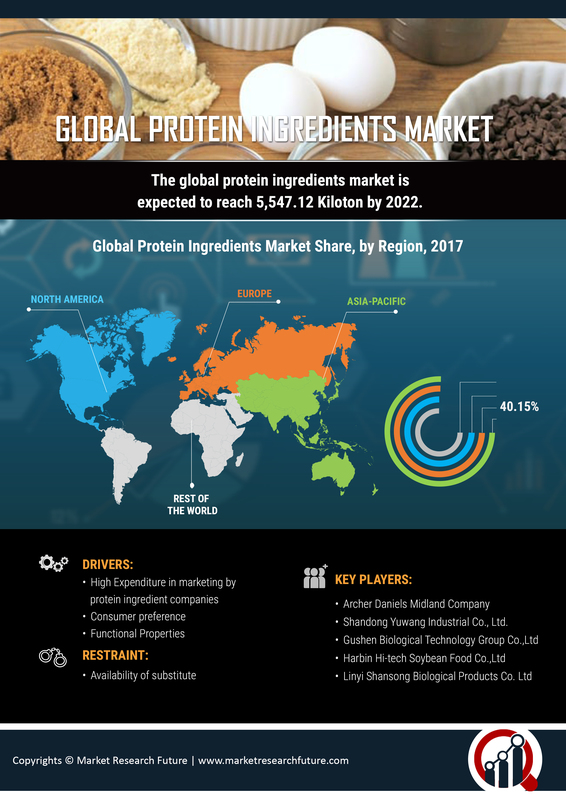 Protein Ingredients Market Size, Share, Application, Region - 2028 | MRFR