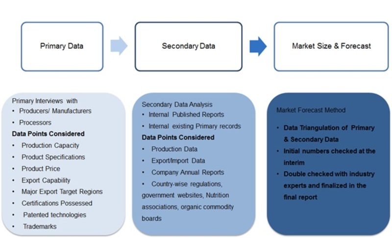 Research Methodology for the Frozen Fruits Market