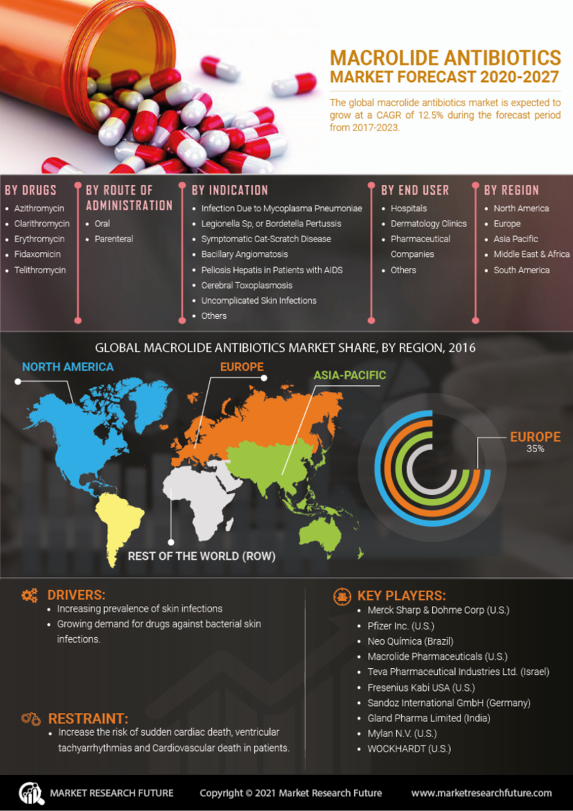 Macrolide Antibiotics Market Size Share Growth Overview And Forecast   Large Overview Macrolide Antibiotics Market 01 