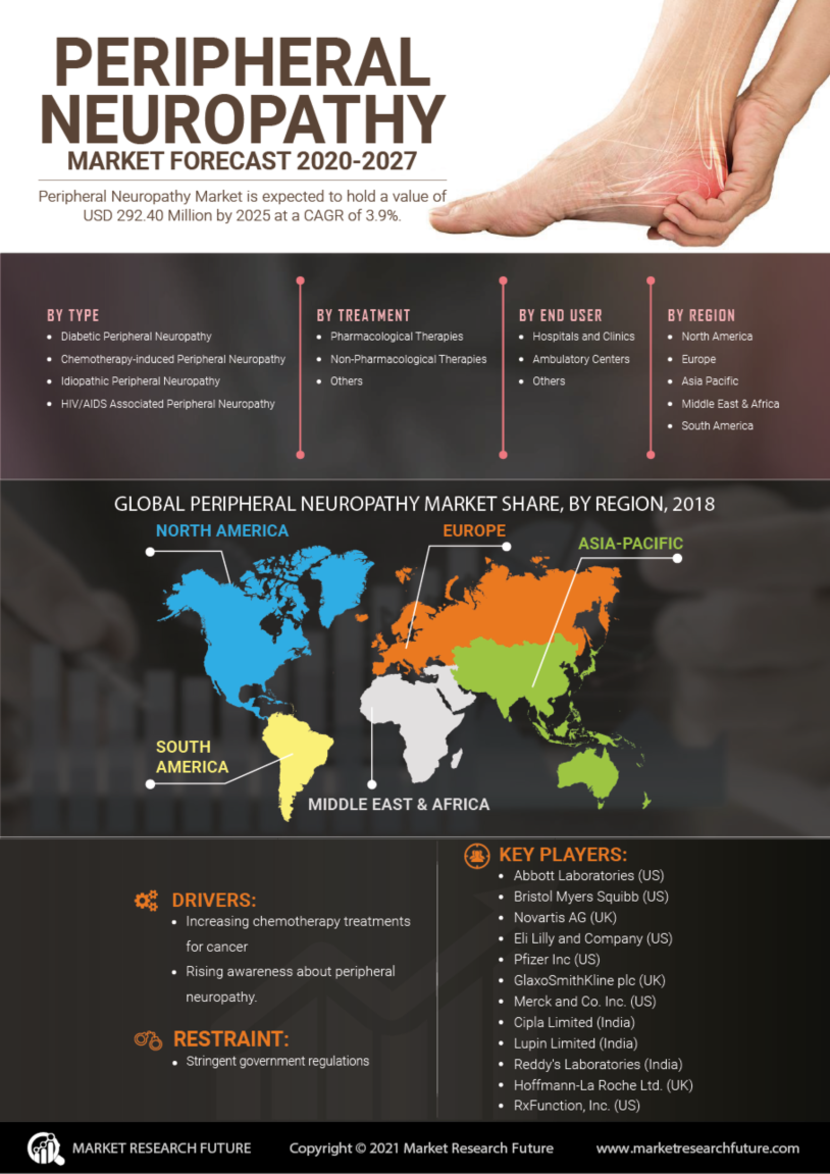 Peripheral Neuropathy Market Research, Size, Share, Trends, Global